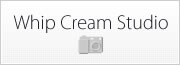 whip cream studio